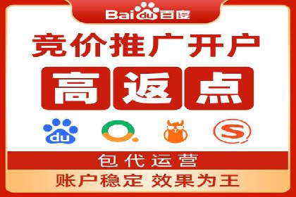 百度推广费用投入与品牌知名度提升的案例分析